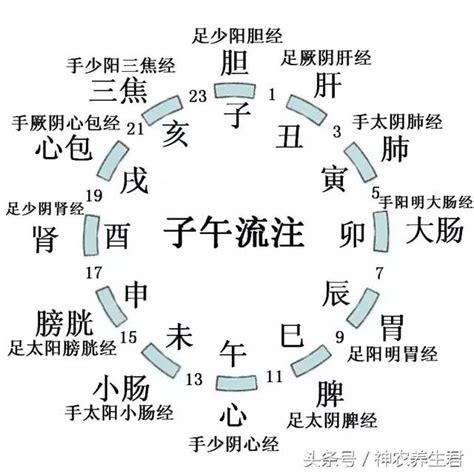 身體五行時間|中醫養生經典：圖文詳解十二經絡運行時間、屬性、注。